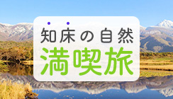 活動和觀光享受計畫