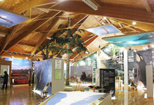 知床世界遺產中心