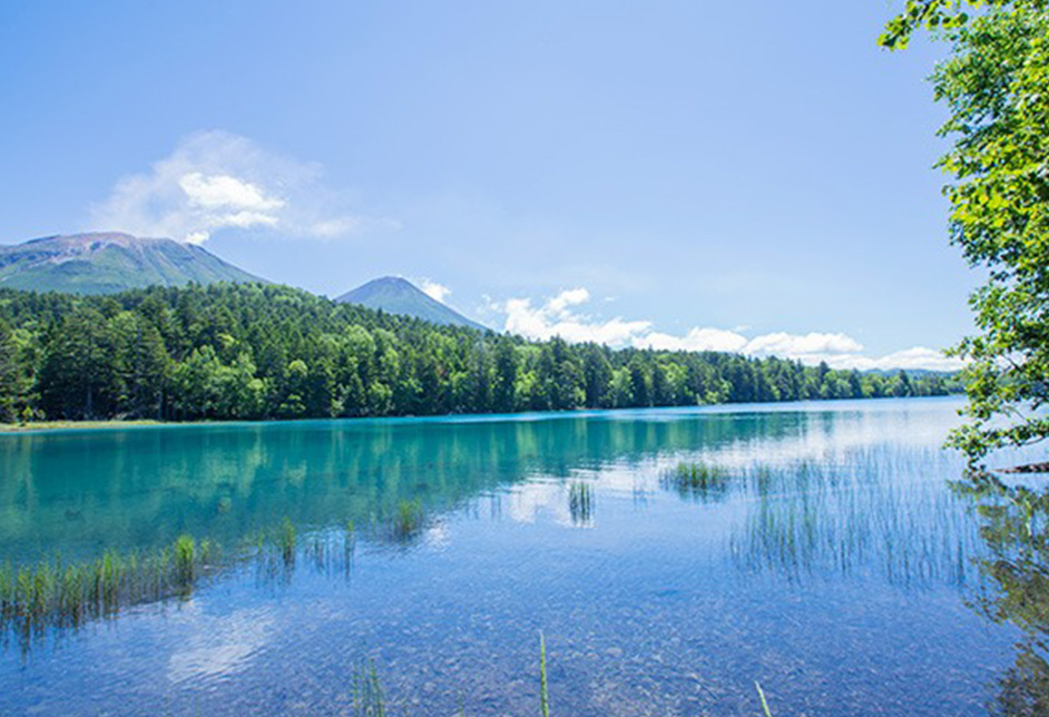 入住阿寒湖溫泉